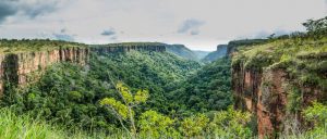 chapada dos guimaraes shutterstock 1053948050