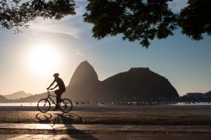 shutterstock 345109298 1