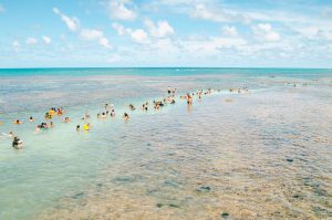 Piscinas naturais de Picaozinho Joao Pessoa Paraiba Credito editorial Vinicius Bacarin shutterstock 1363470686
