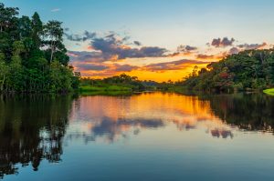 amazonia shutterstock 1119698741