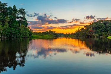 amazonia shutterstock 1119698741