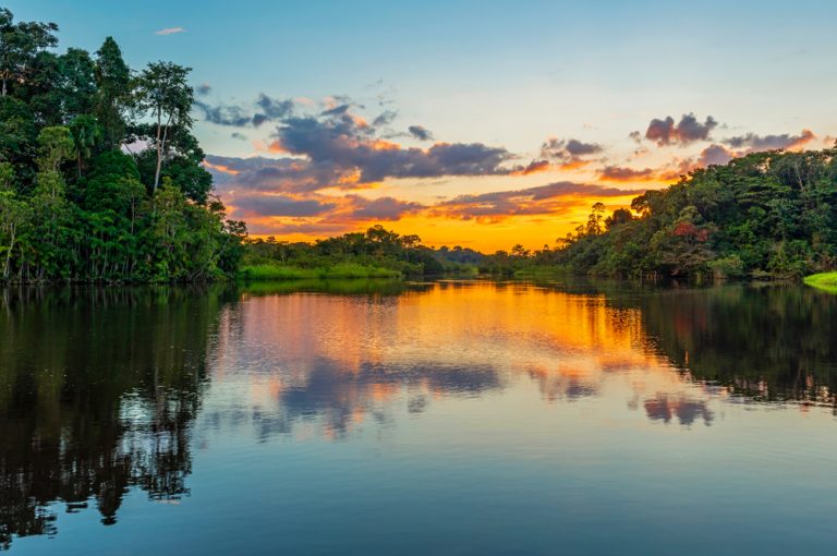amazonia shutterstock 1119698741