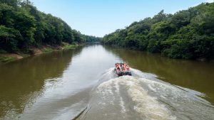 grand amazon 2