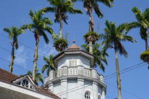 joinville shutterstock 1599464335 joinville shutterstock 1599464335