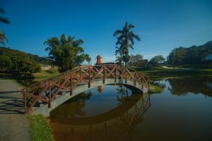 joinville shutterstock 1987237835 1 joinville shutterstock 1987237835 1