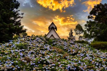 joinville shutterstock 2103963572 1