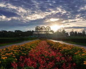 curitiba Credito editorial Rafael Serathiuk Shutterstock.com shutterstock 1324801598