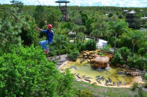 Gatorland Kissimmee EUA Credito Experience Kissimmee