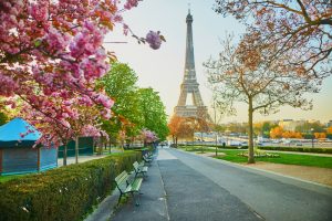 Paris Franca shutterstock 1955938222 Paris Franca shutterstock 1955938222