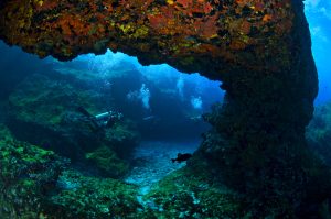 fernando de noronha shutterstock 415546633 fernando de noronha shutterstock 415546633