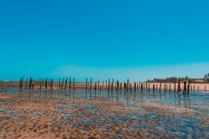 flecheiras shutterstock 1543881821 flecheiras shutterstock 1543881821