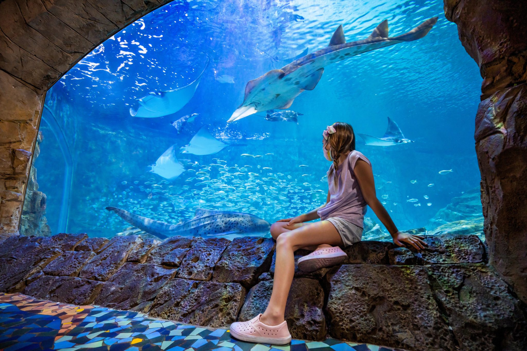 SeaWorld Credito Divulgacao 5 SeaWorld Credito Divulgacao 5