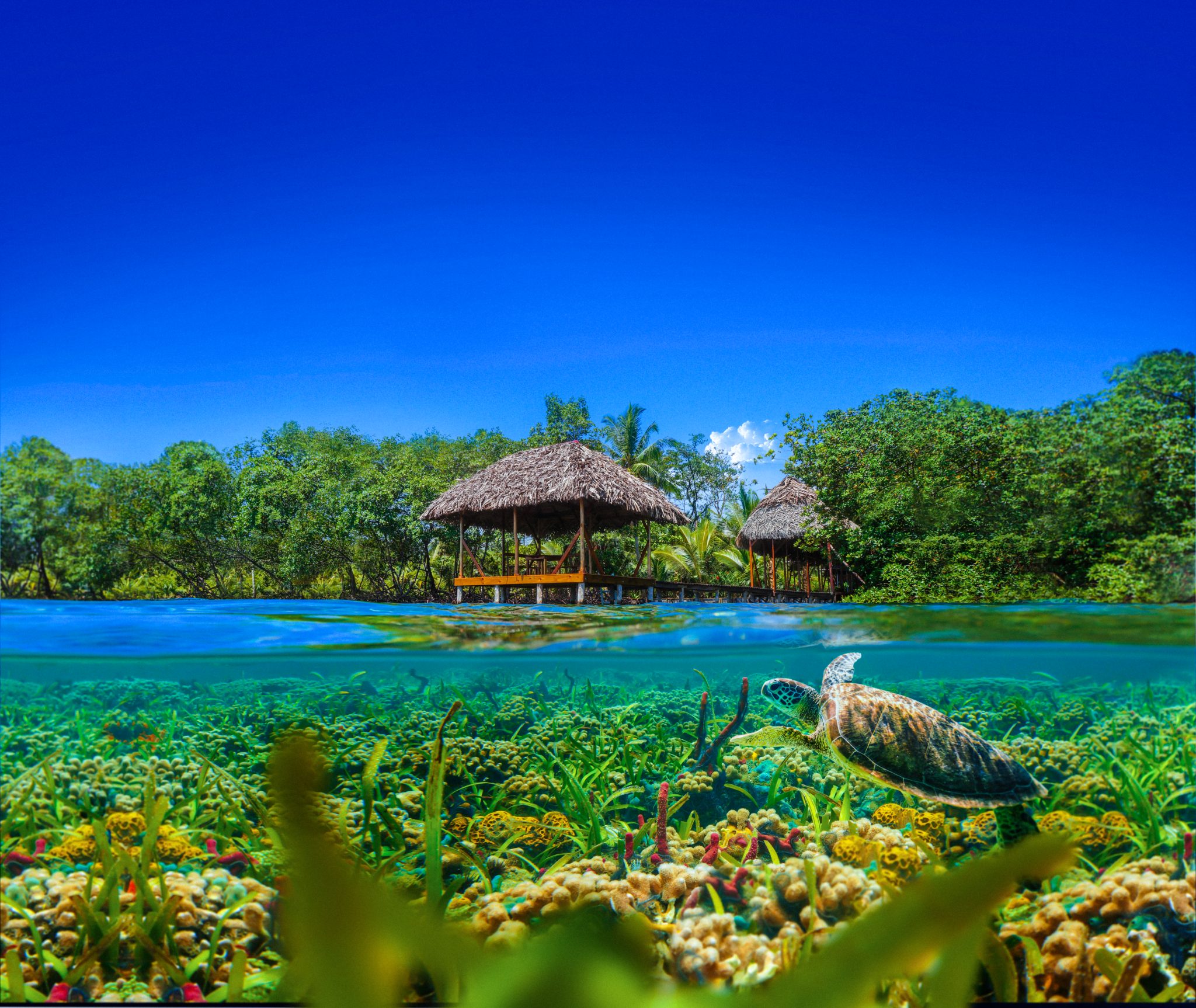 Bocas del Toro Credito Divulgacao