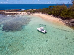 Ilha de Santo Aleixo Pernambuco shutterstock 1788418724
