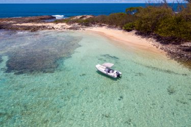 Ilha de Santo Aleixo Pernambuco shutterstock 1788418724