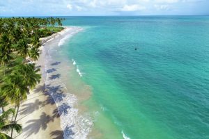 Praia dos Carneiros Pernambuco shutterstock 1305303205