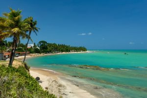 melhores praias de alagoas praia de japaratinga alagoas credito editorial cacio murilo shutterstock 2127150728 melhores praias de alagoas praia de japaratinga alagoas credito editorial cacio murilo shutterstock 2127150728