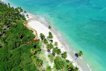 melhores praias de alagoas sao miguel dos milagres shutterstock 1303239814
