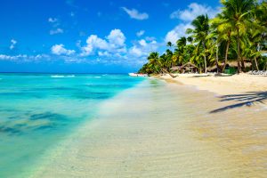 Isla Saona Republica Dominicana shutterstock 1929770138 Isla Saona Republica Dominicana shutterstock 1929770138
