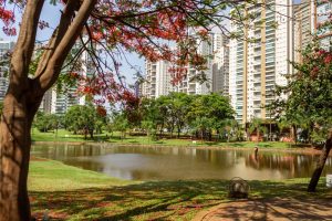 Parque Flamboyant Goiania Credito editorial Angela Macario shutterstock 2213675803
