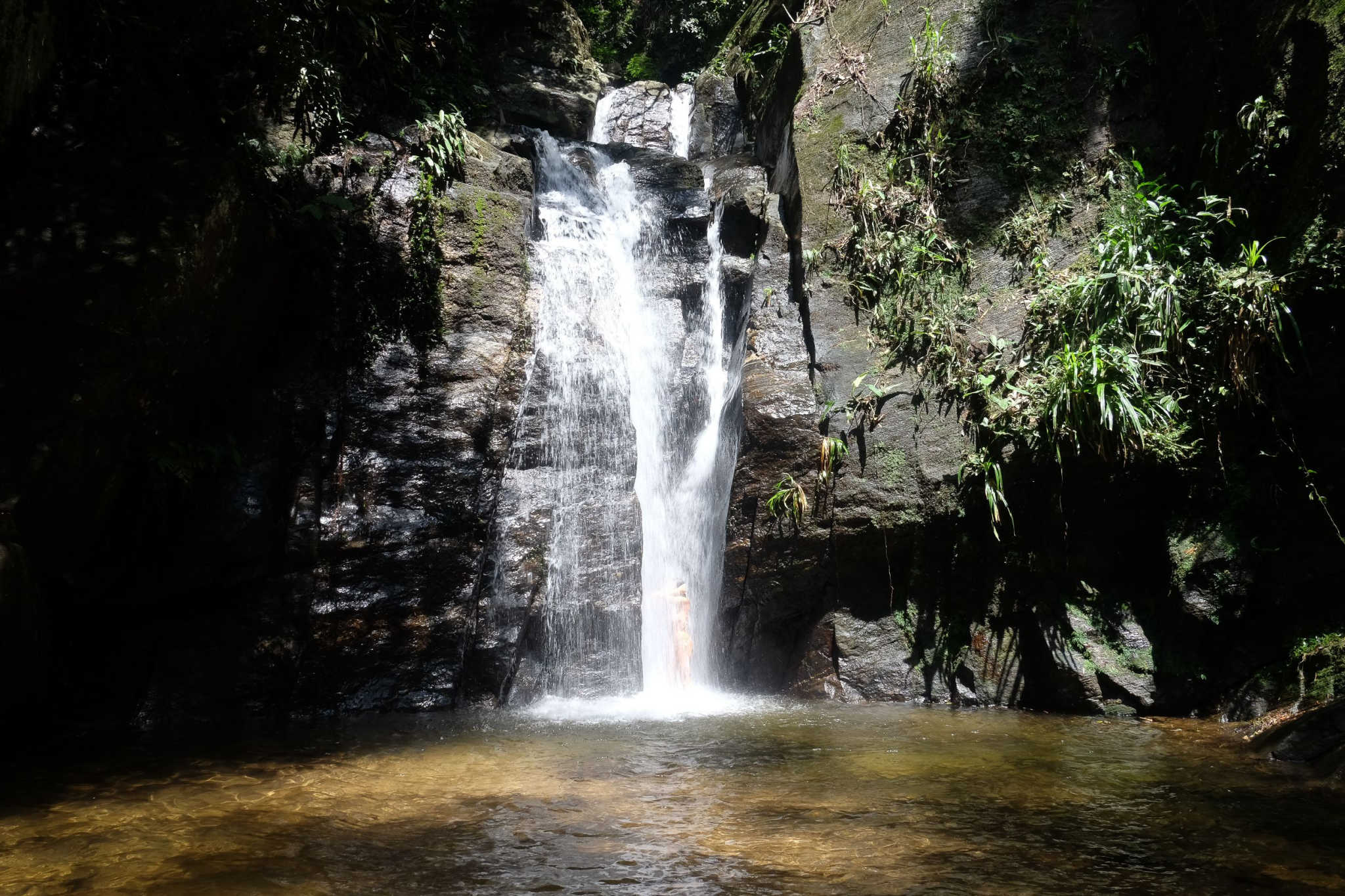 natureza no rio de janeiro cachoeira horto natureza no rio de janeiro cachoeira horto