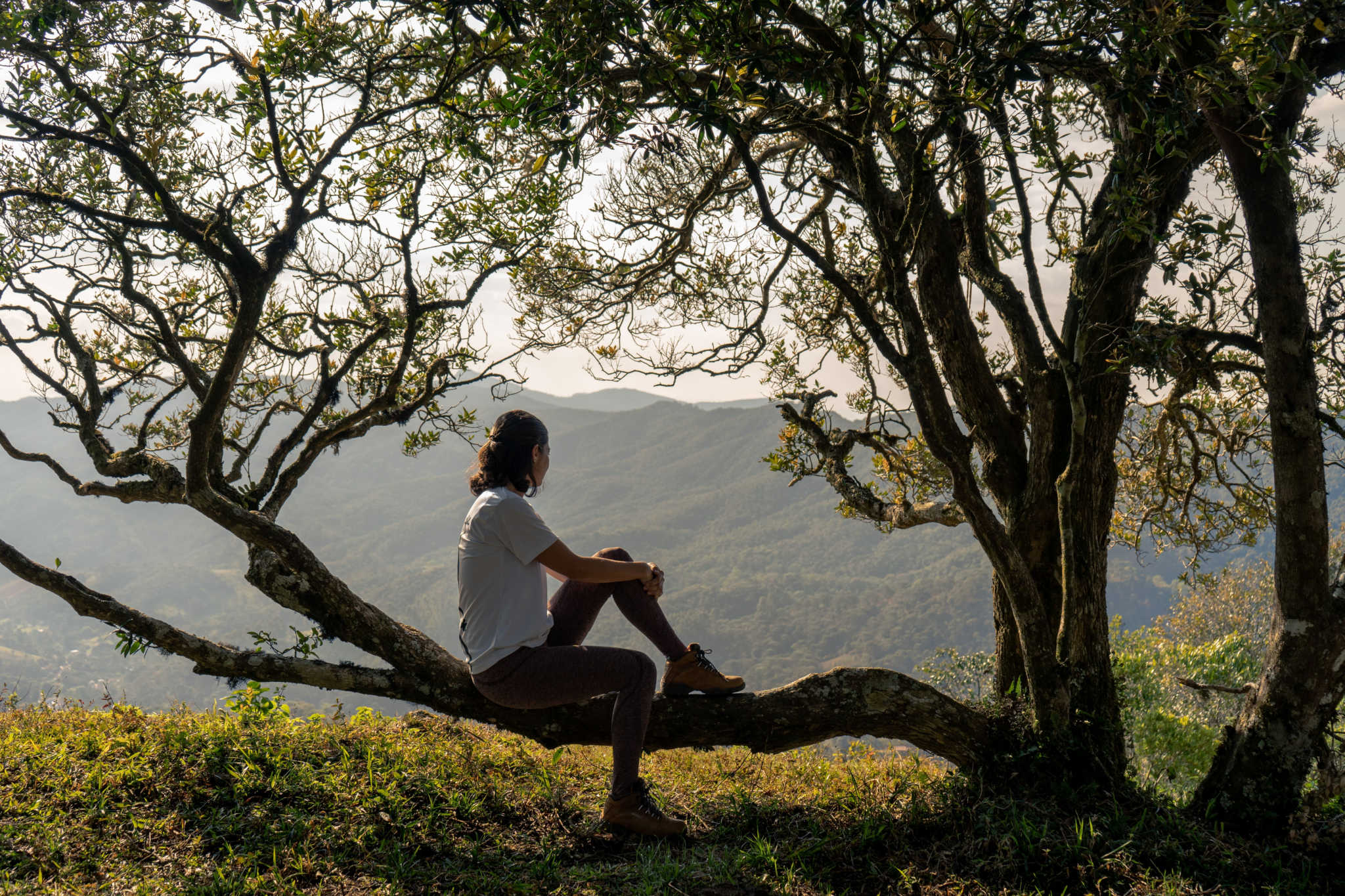 para onde viajar no inverno no brasil goncalves para onde viajar no inverno no brasil goncalves