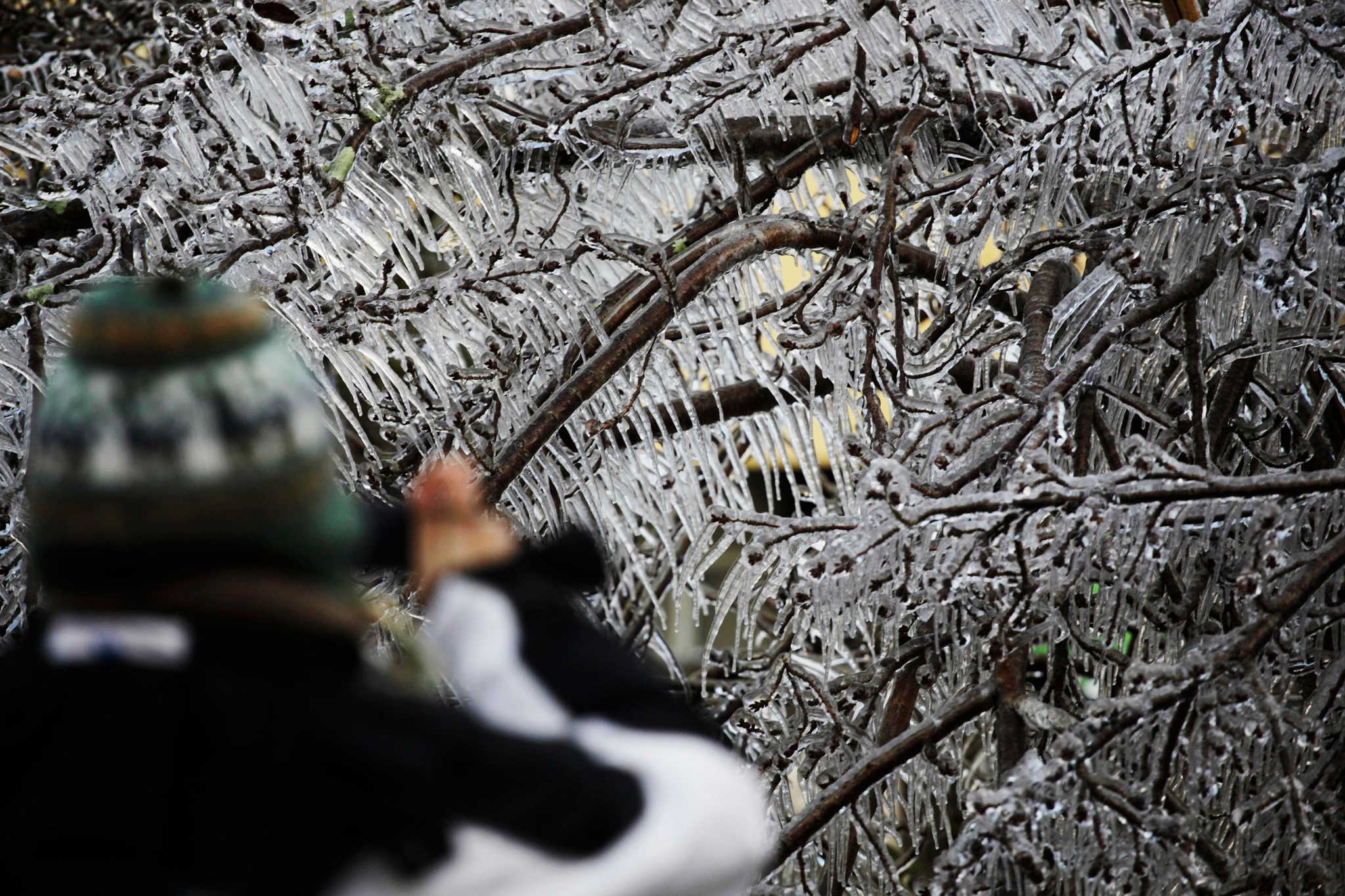 para onde viajar no–inverno no brasil sao joaquim para onde viajar no–inverno no brasil sao joaquim