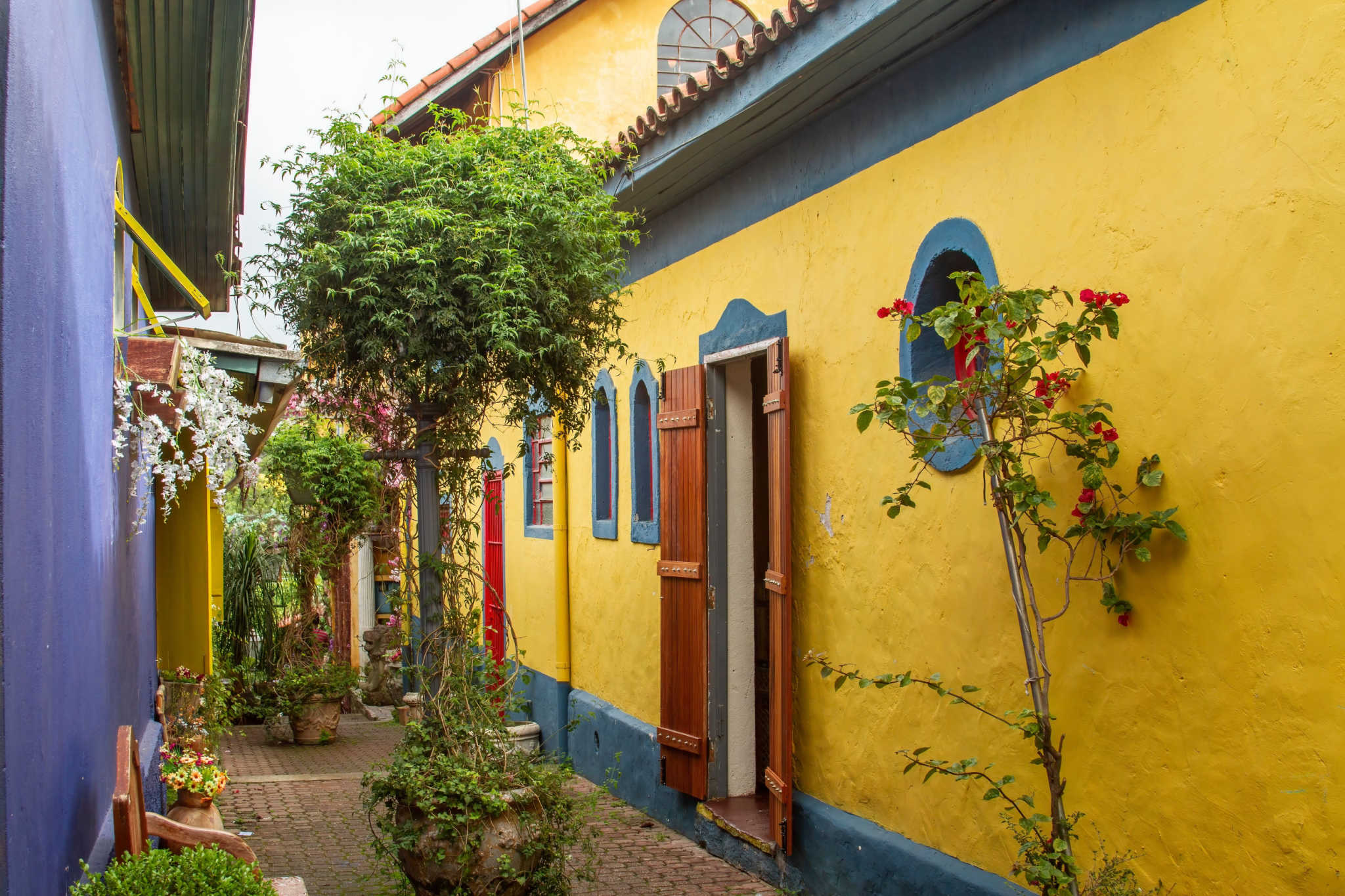 viagem de presente para mae embu das artes