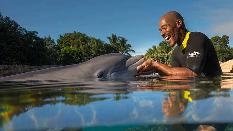 parques aquaticos de orlando discovery code