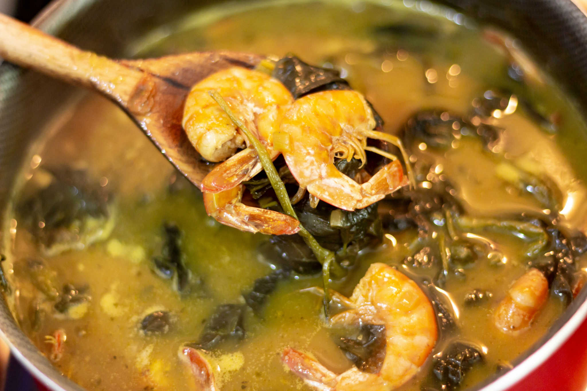 turismo gastronomico pelo brasil belem