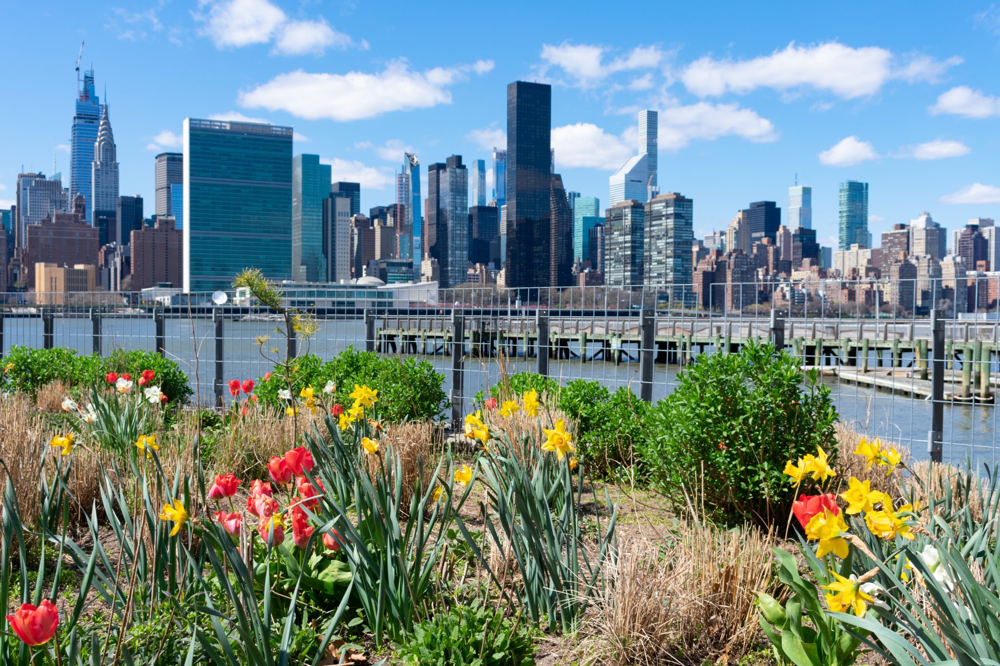 Colorful,Plants,And,Flowers,At,Gantry,Plaza,State,Park,In Colorful,Plants,And,Flowers,At,Gantry,Plaza,State,Park,In