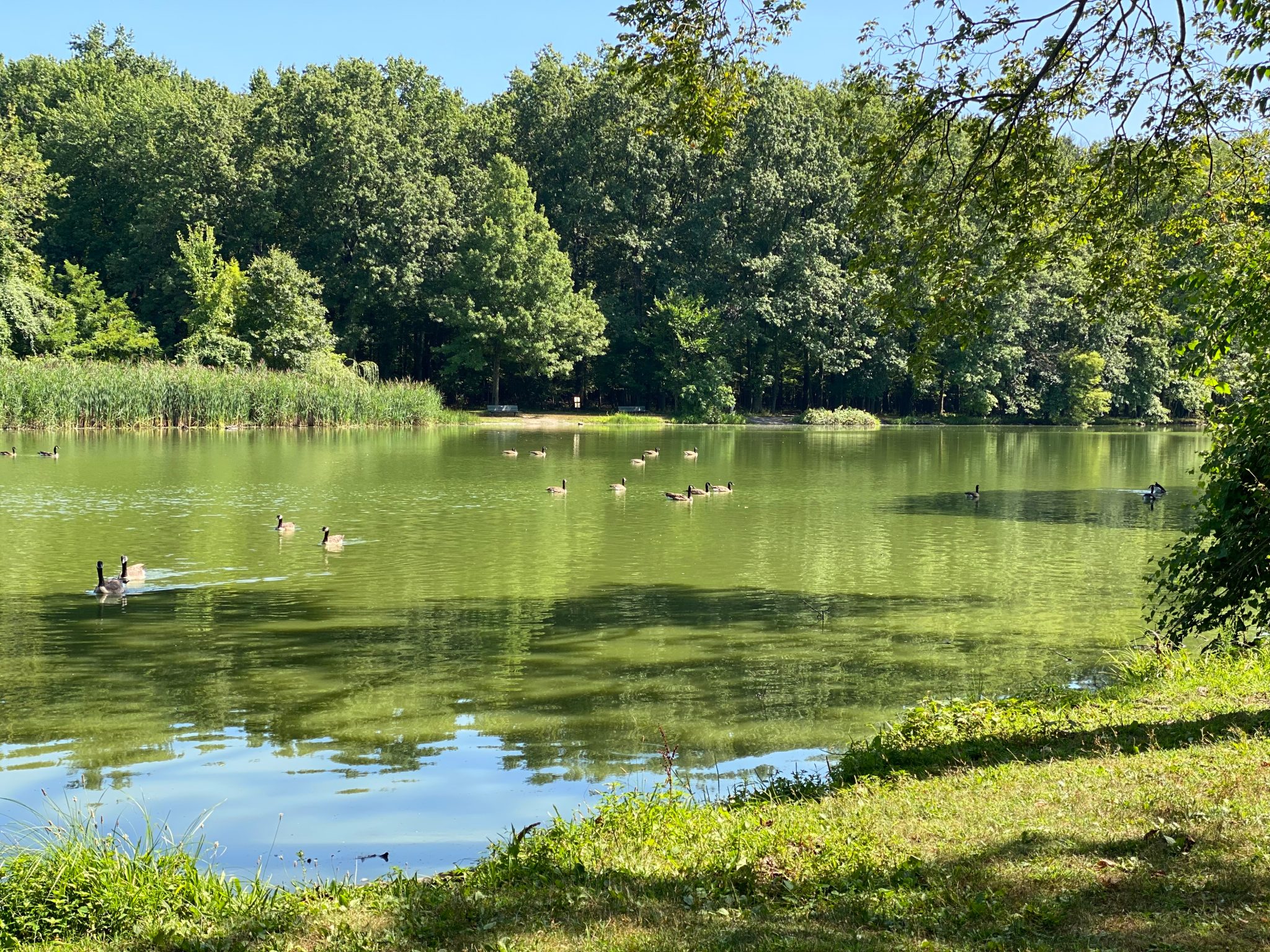 Willowbrook,Lake,,Staten,Island,Ny Willowbrook,Lake,,Staten,Island,Ny