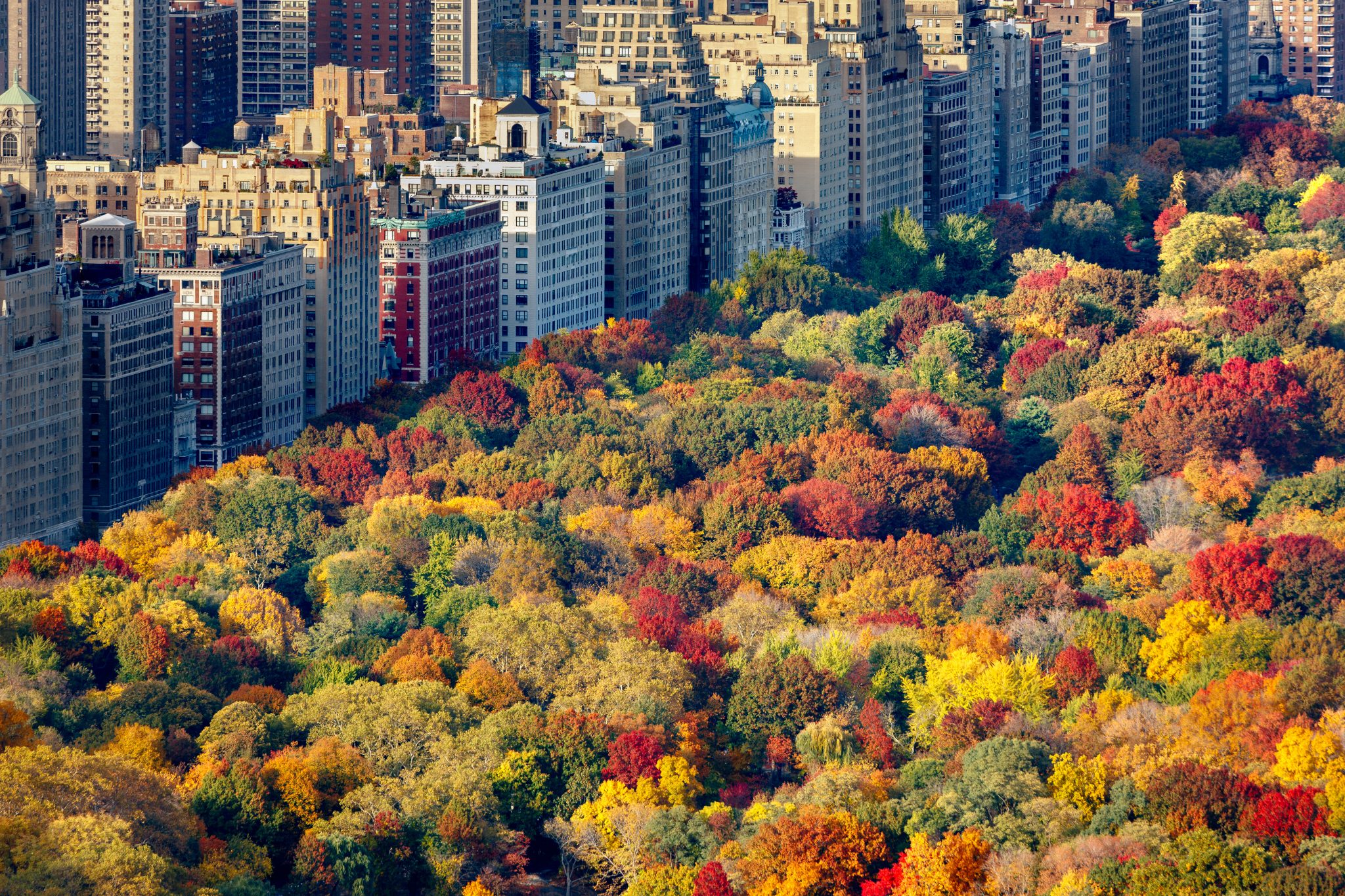 Fall,Colors,Of,Central,Park,Foliage,In,Late,Afternoon.,Aerial Fall,Colors,Of,Central,Park,Foliage,In,Late,Afternoon.,Aerial