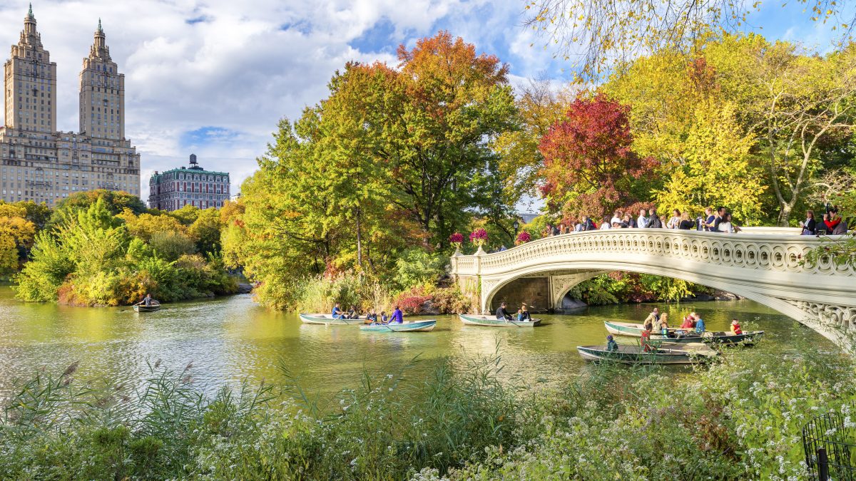 Beautiful,Foliage,Colors,Of,New,York,Central,Park.
