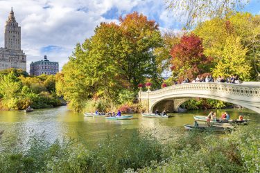 Beautiful,Foliage,Colors,Of,New,York,Central,Park.