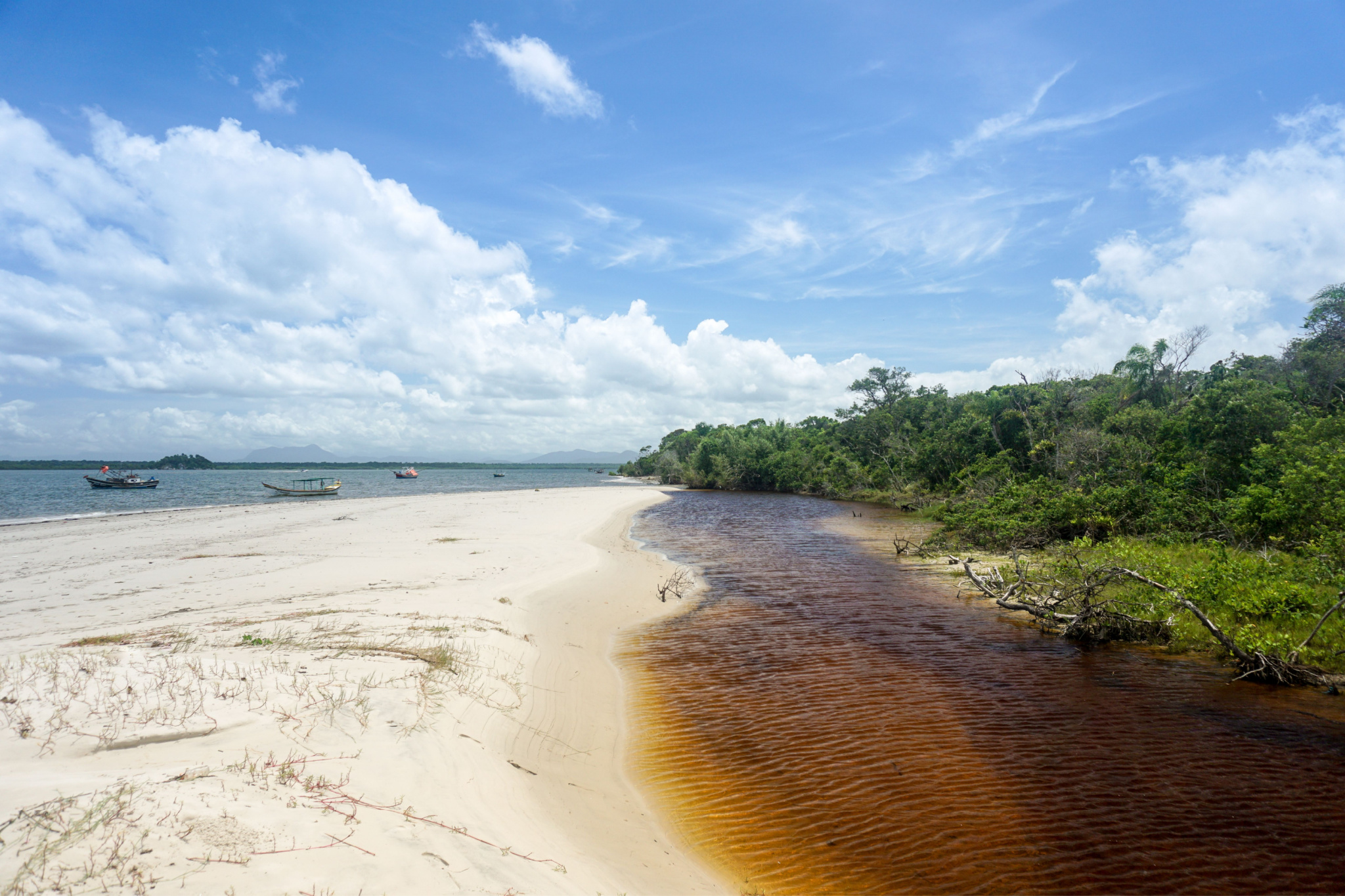 parque nacional superagui