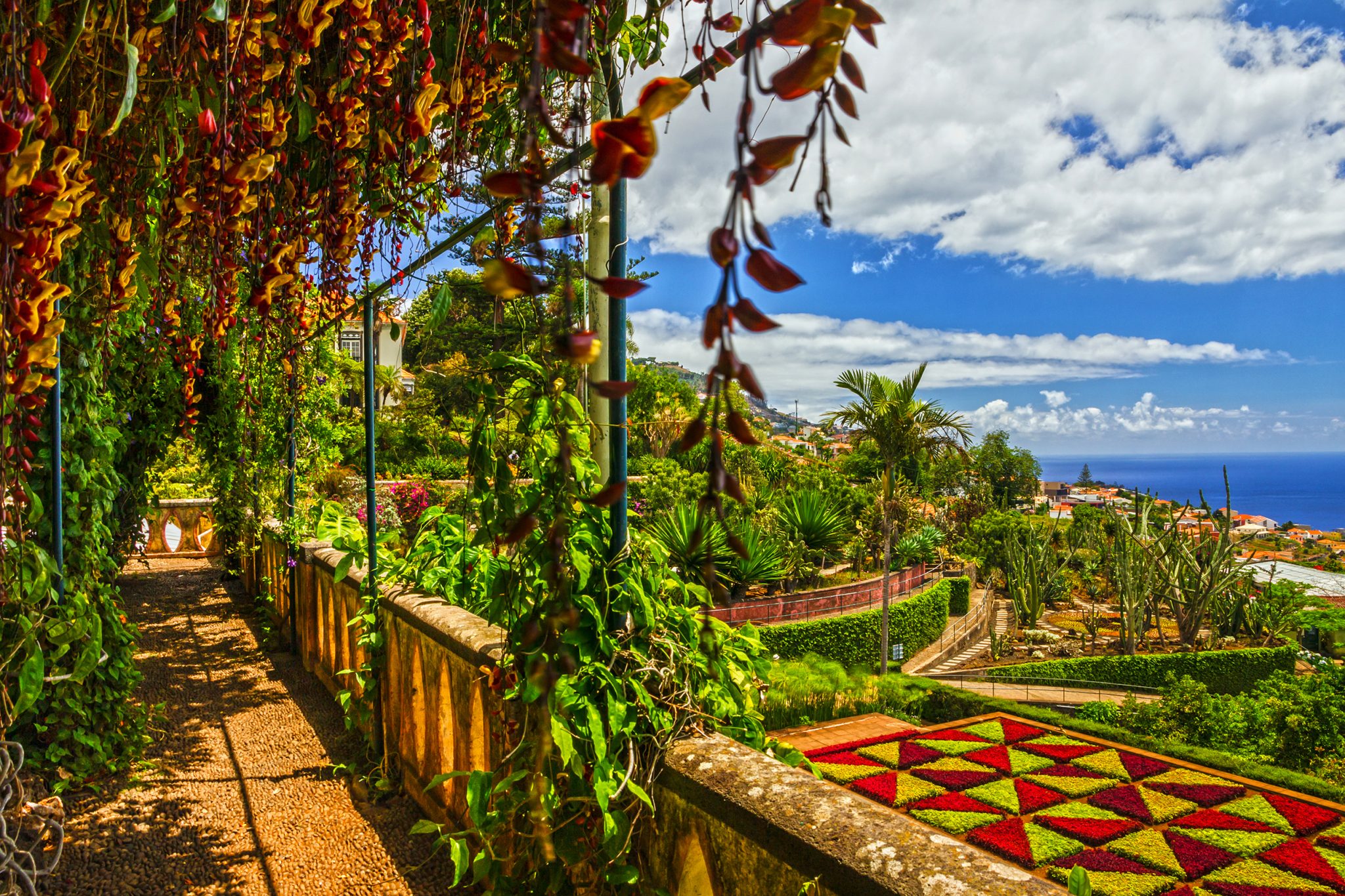Madeira,,Botanical,Garden,Monte,,Funchal,,Portugal