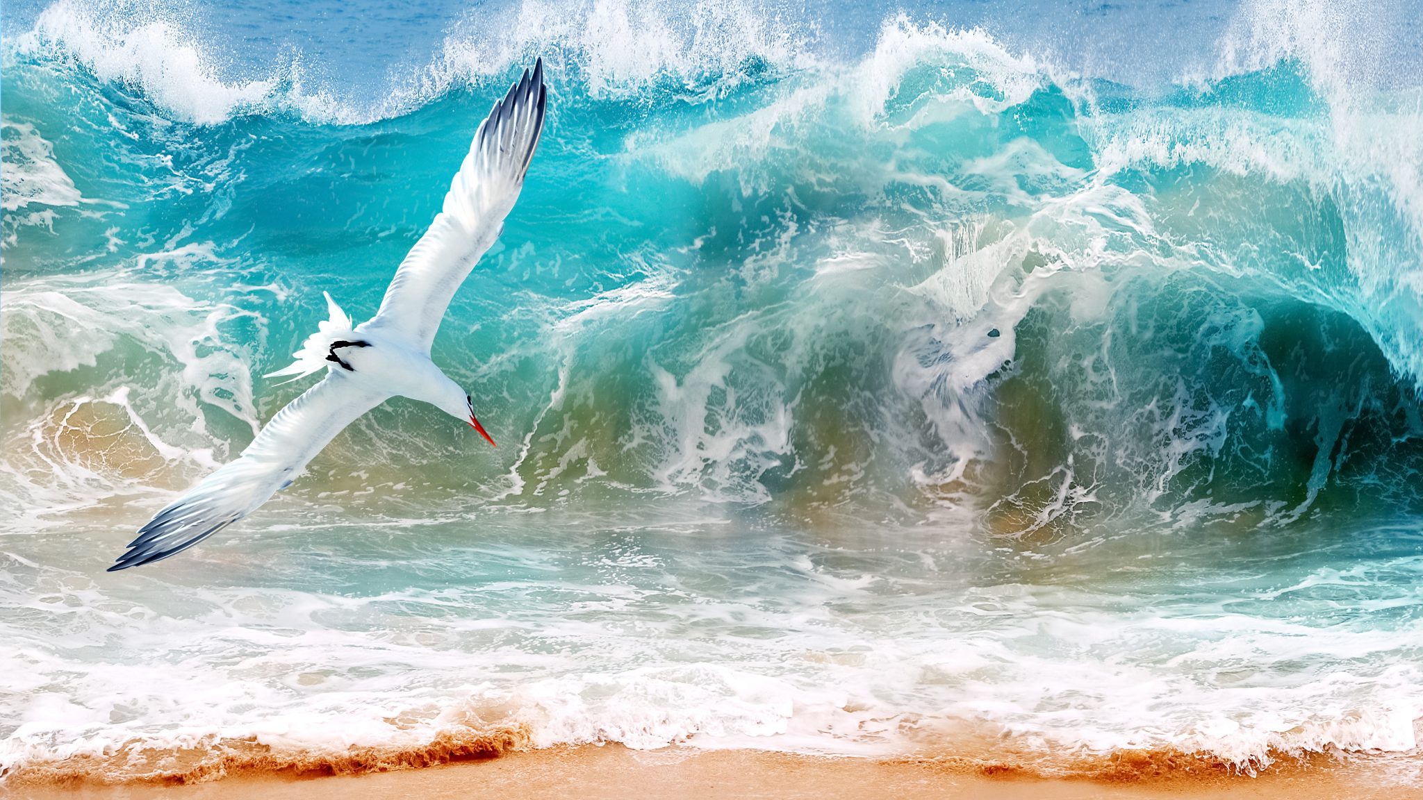 Storm,On,The,Ocean,And,A,Sea,Gull,Against,The