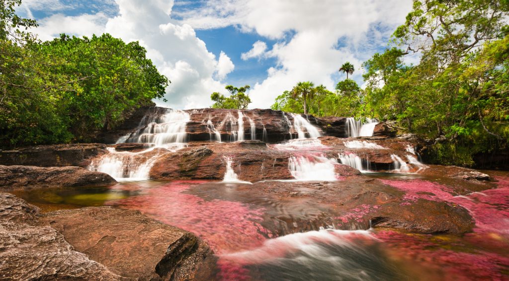 Caño Cristales