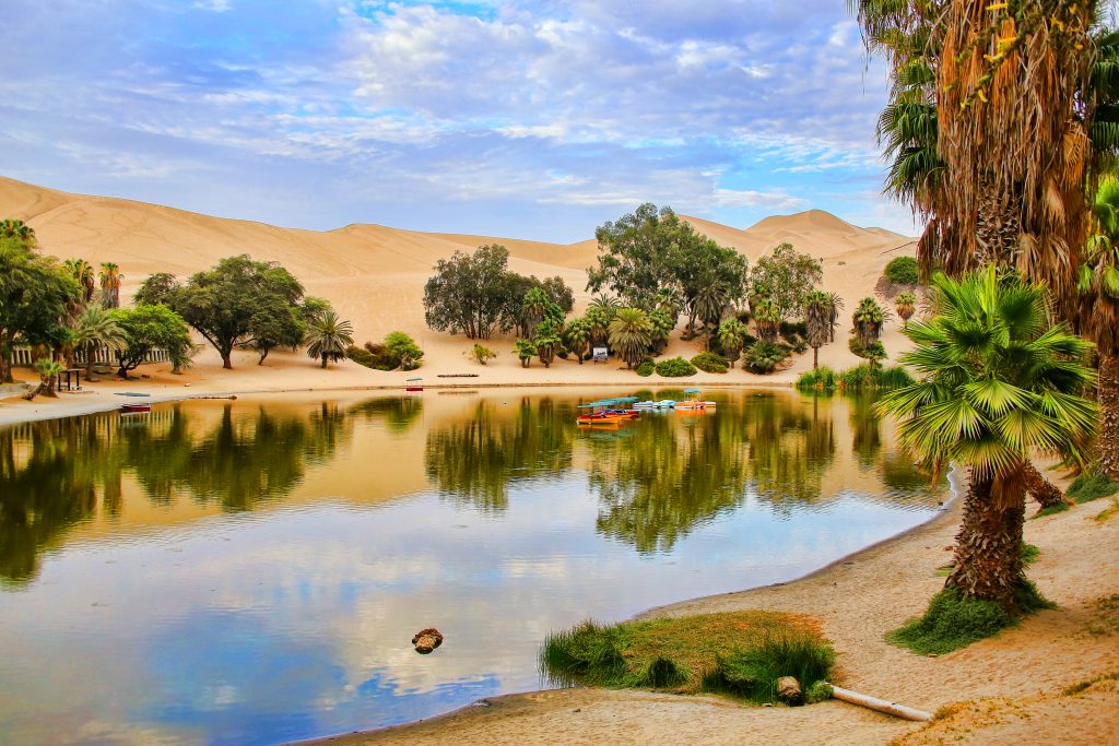 Oasis,Of,Huacachina